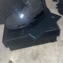 2025 Black Cats Toddlers 10 5c