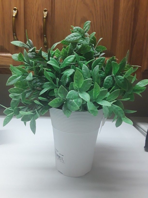 Brand New Decor Fake Plant In Weeki Wachee Spring Hill