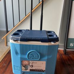 Retractable Cooler On Wheels 