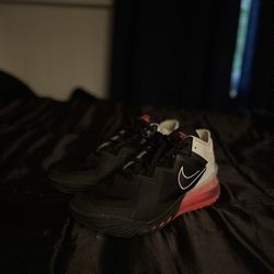 LEBRON 18 LOW 'HEART OF LION'