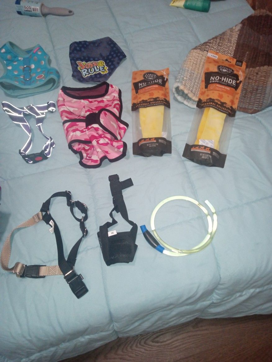 Dog Vests, Glow In Dark Collar, Etc.