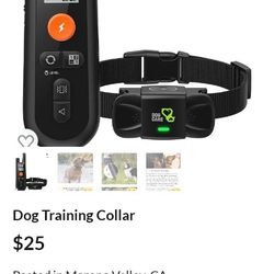 Dog Training Collar