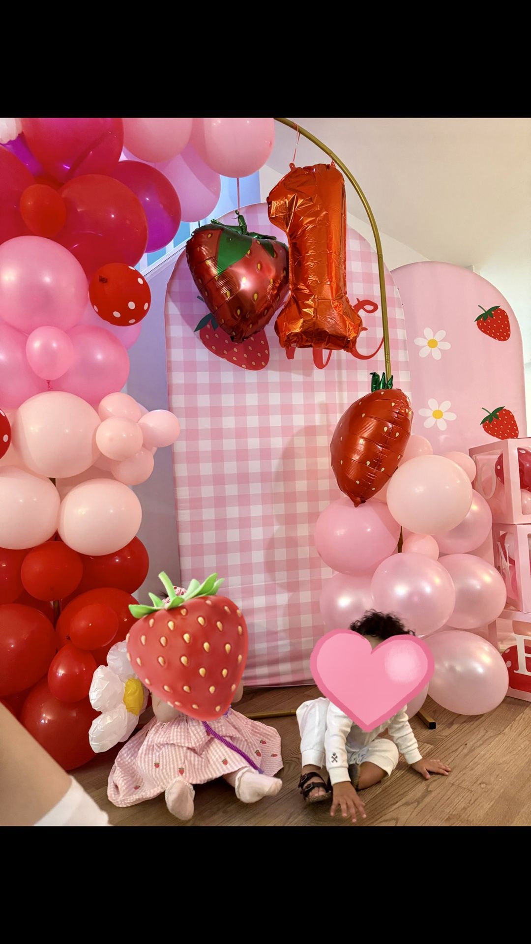 Berry First Birthday Arch Backdrop