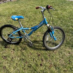 Trek Girl’s Bike