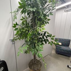 Fake House Plant For Sale