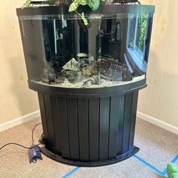 56 Gallon, Corner Fish Tank