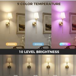 Modern Gold Polished LED Wall Sconce, Dimmable, Color Changing, Remote Control