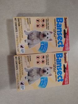 Puppy lot Some Things New