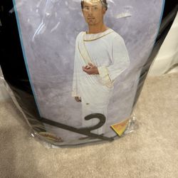 Men’s Roman Robe Costume Size M/L Includes  Robe Only ( New)