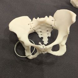 Need Some To Put A Bag Of These Together 