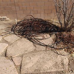 Used Irrigation Tubing