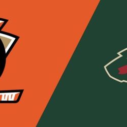 Anaheim Ducks Vs Minnesota Wilds