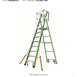 12ft Ladder With Cage