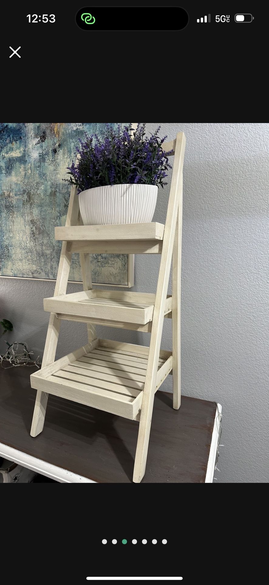 🪻WORLD MARKET ✨Light Raw Wood Ladder Shelf! NICE