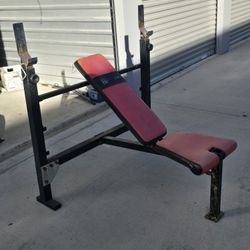 Bench Press Bench 
