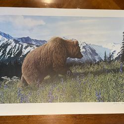 Charles Gause Lithograph Signed Numbered - Bear 19x24