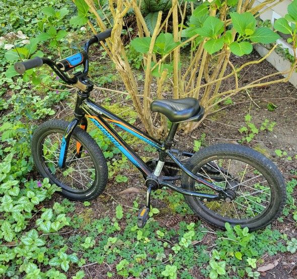 Specialized Kids Bike