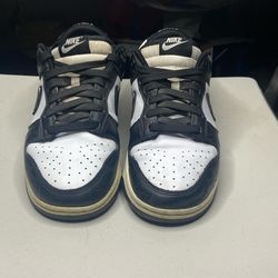 Nike Pandas Size 8