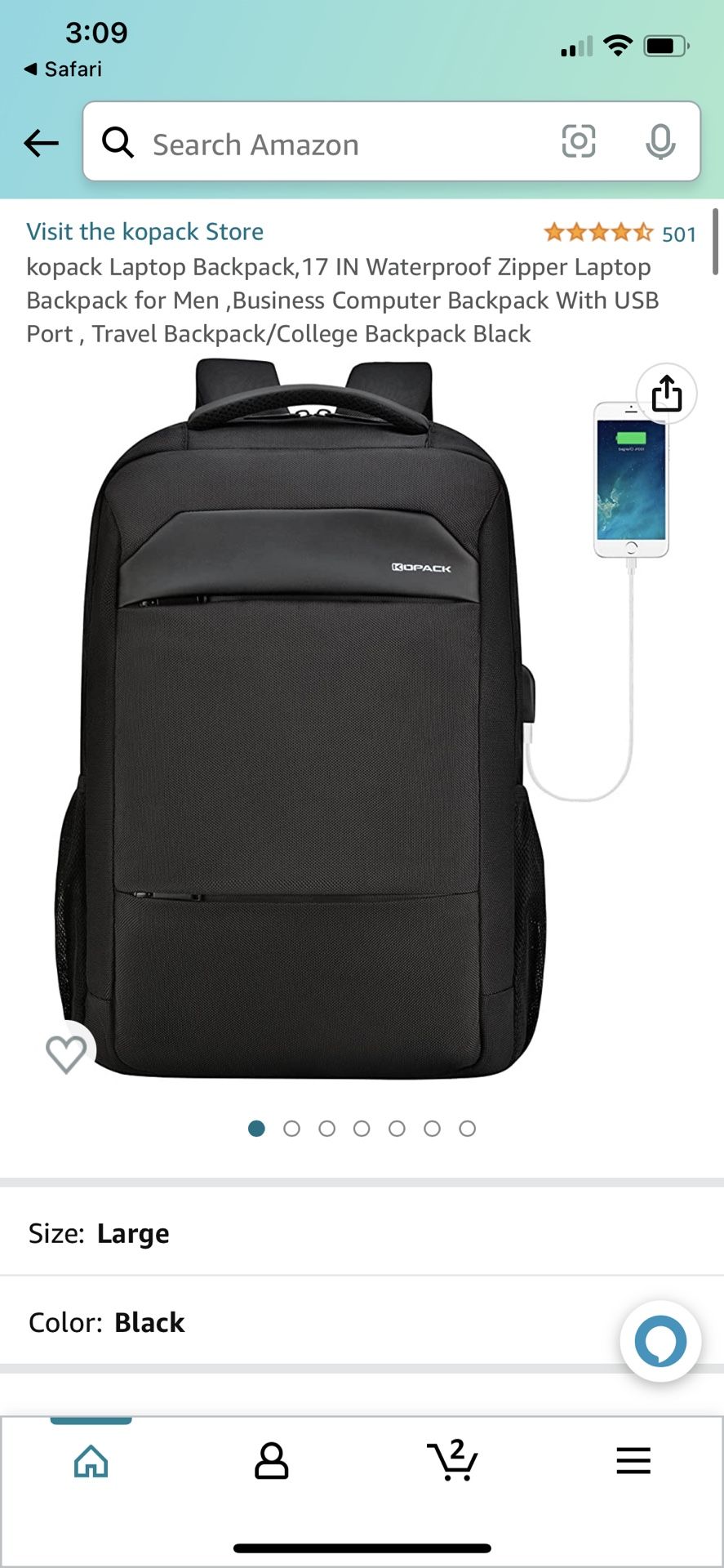 Laptop Backpack w/ USB Port