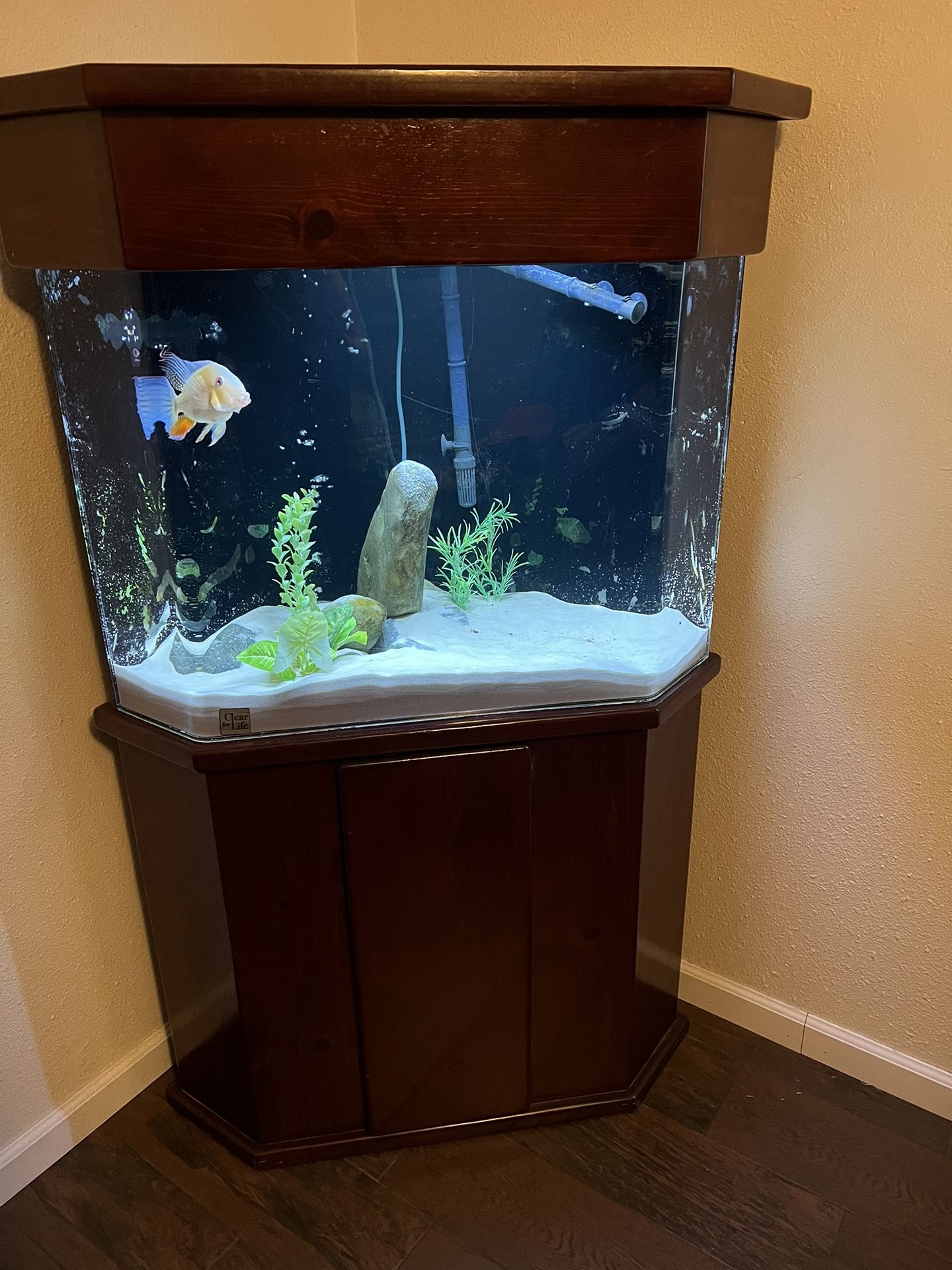 50 Gallon Clear 4 Life Pentagon Corner Aquarium