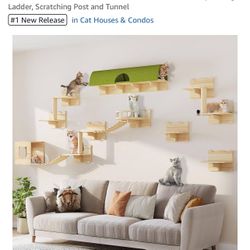 Cat Wall Furniture 