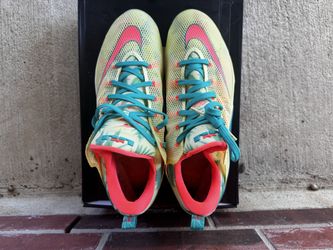 Nike LeBron Low PRM w/box SZ 14