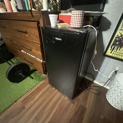Mini Fridge 