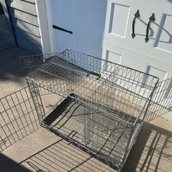 Dog Apartment