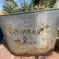 Rustic Pot With Plants
