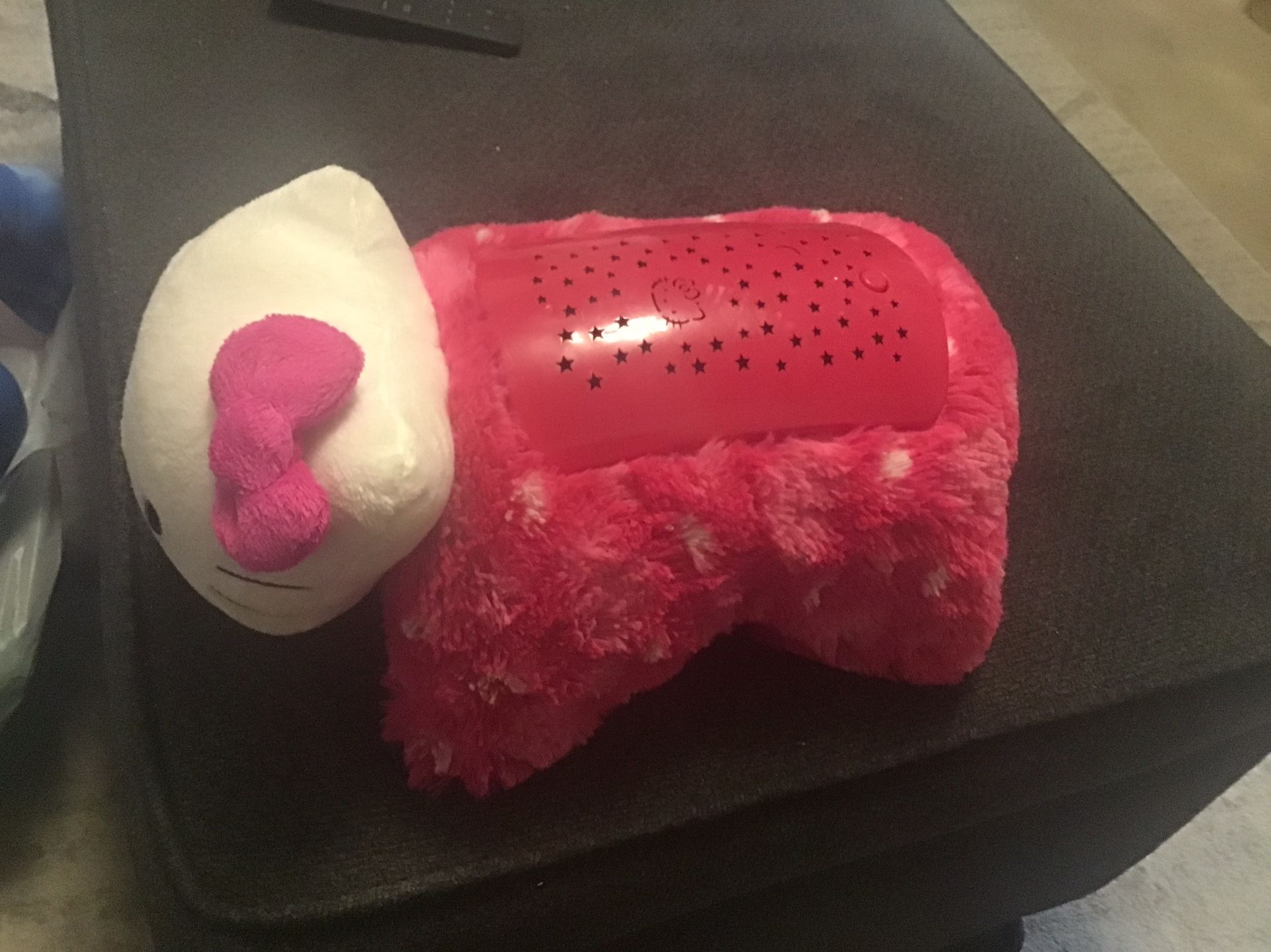 Pillow Pet