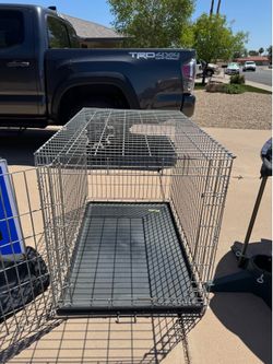 Dog Kennel