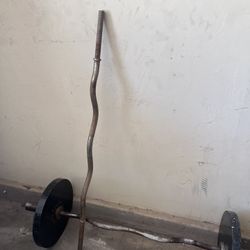 50 Lb Curl Bars 