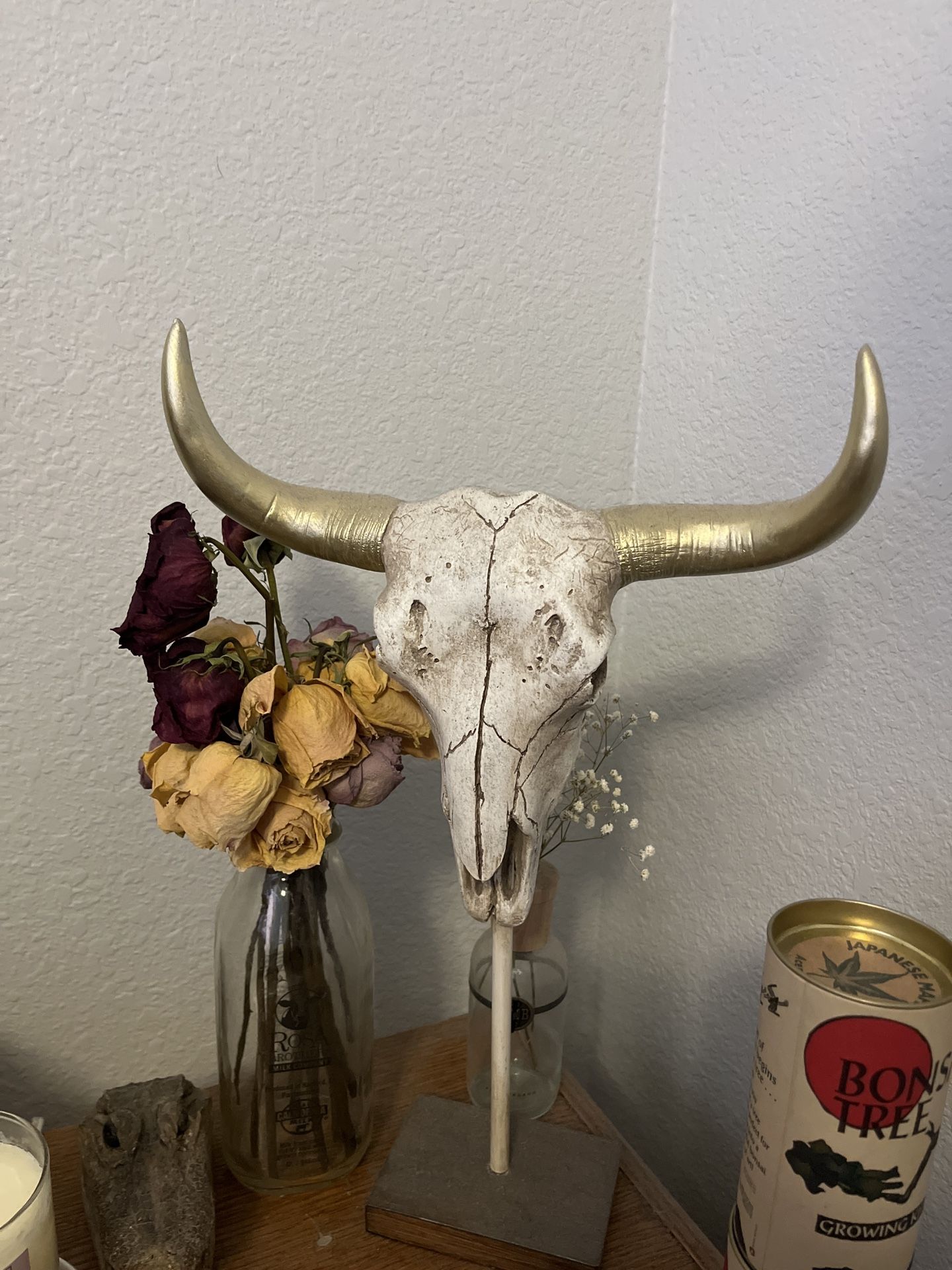 Decorative Bull Skull