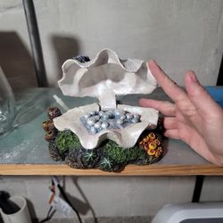 Fish Tank Accessory..shell