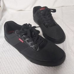 Vans Shoes Size 10.5