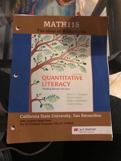 BOOK. MATH 115 the ideas of mathematics .. CSUSB