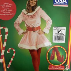 Jovi Christmas Dress From Elf Movie . Dress & Hat Only, Missing Belt & Shoe Covers. New. Runs Small. Adults Small