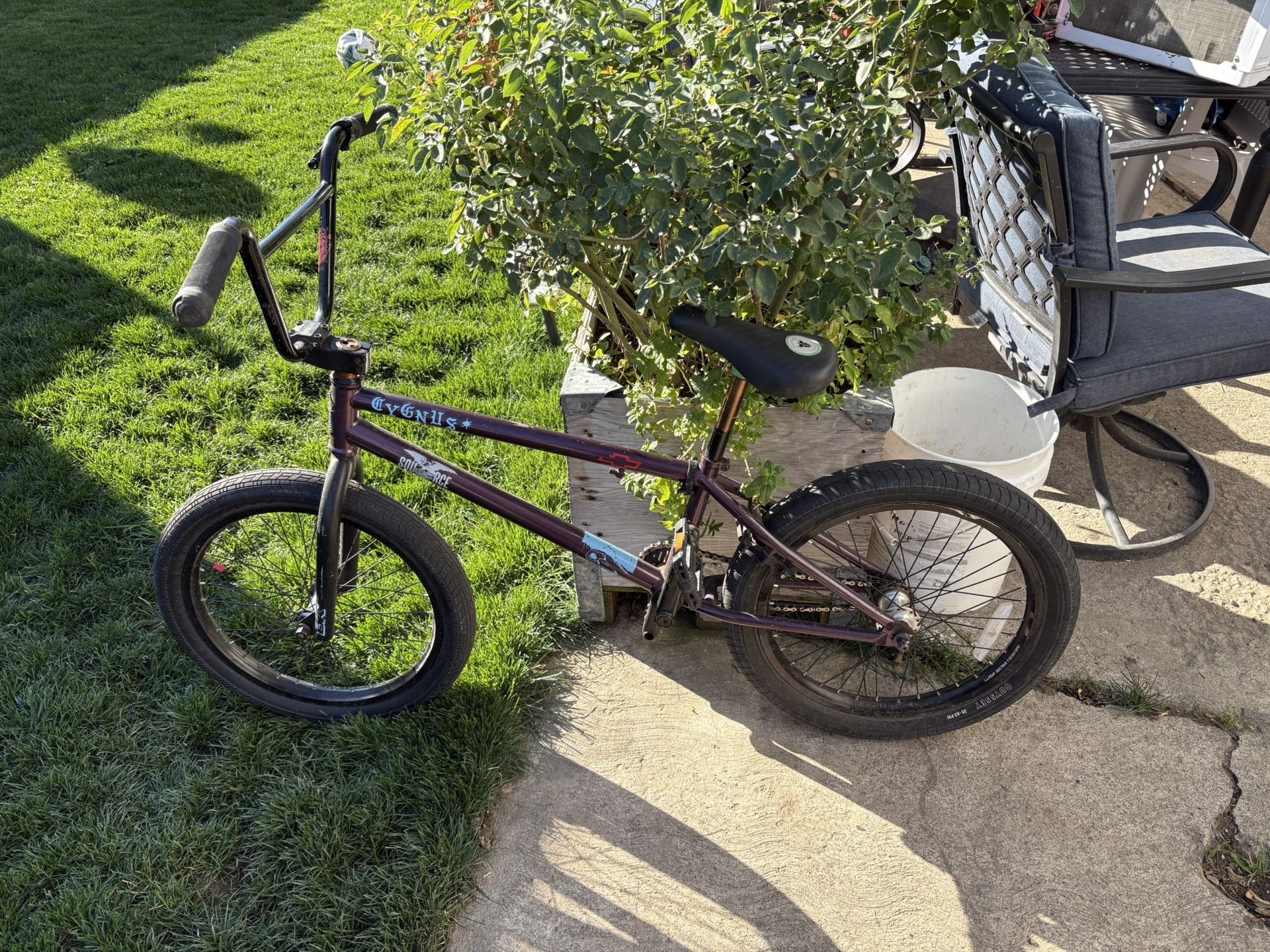 Cygnus Bmx