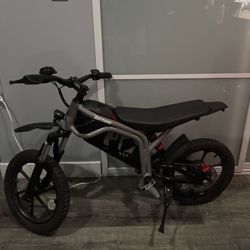 GoTrax E-Bike