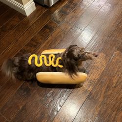 Daschund Halloween Hot Dog Costume