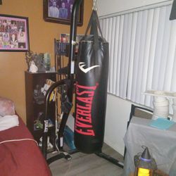 Everlast Punching Bag And Stand