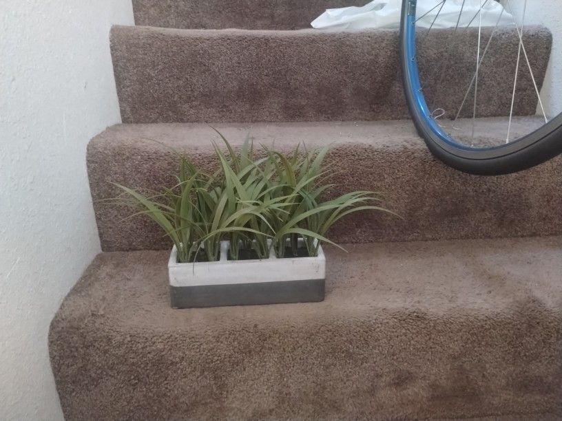 Fake Plant In Planter
