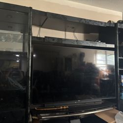 FREE Adjustable Wall Unit W  Purchase Of 65” TV And Stand 