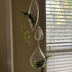 Hanging Glass 