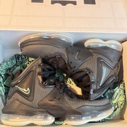 Lebron 19s