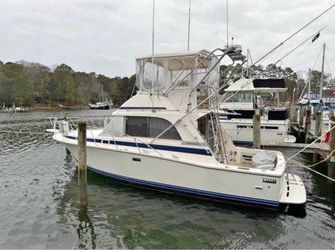 1985 Bertram 33