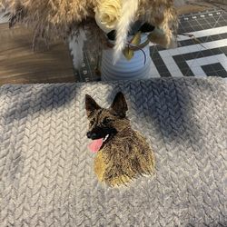 Doggie blanket 