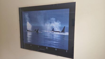 Talbot - Orcas mounted poster