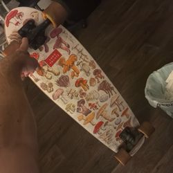 LANDYACHTZ Longboard Great Condition