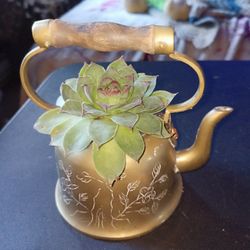 Small Vintage Solid Brass Teapot With Hen And Chick